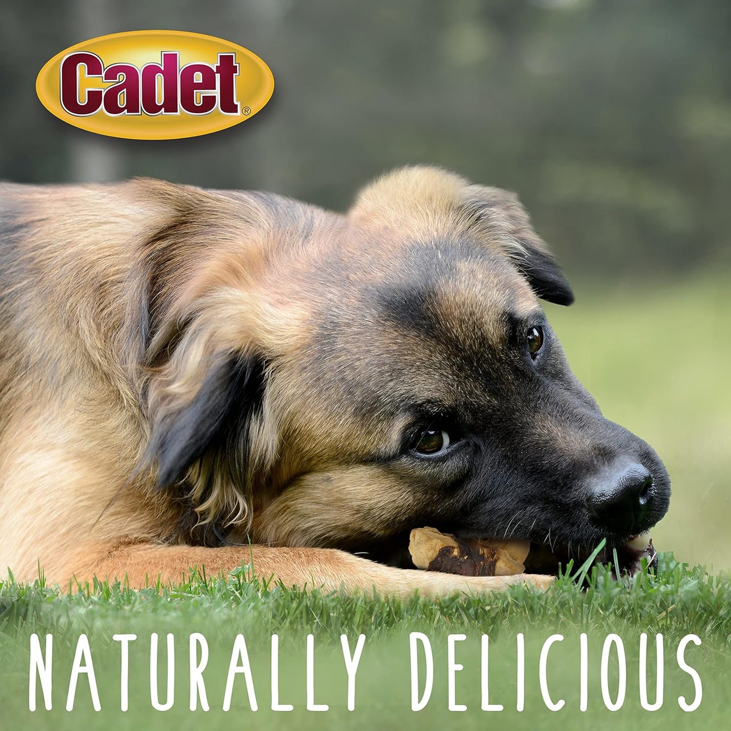 Gourmet Chicken & Apple Dog Treats - Healthy, Natural Training Treats for All Dog Sizes - Inspected and Tested in the USA (28 Oz.)