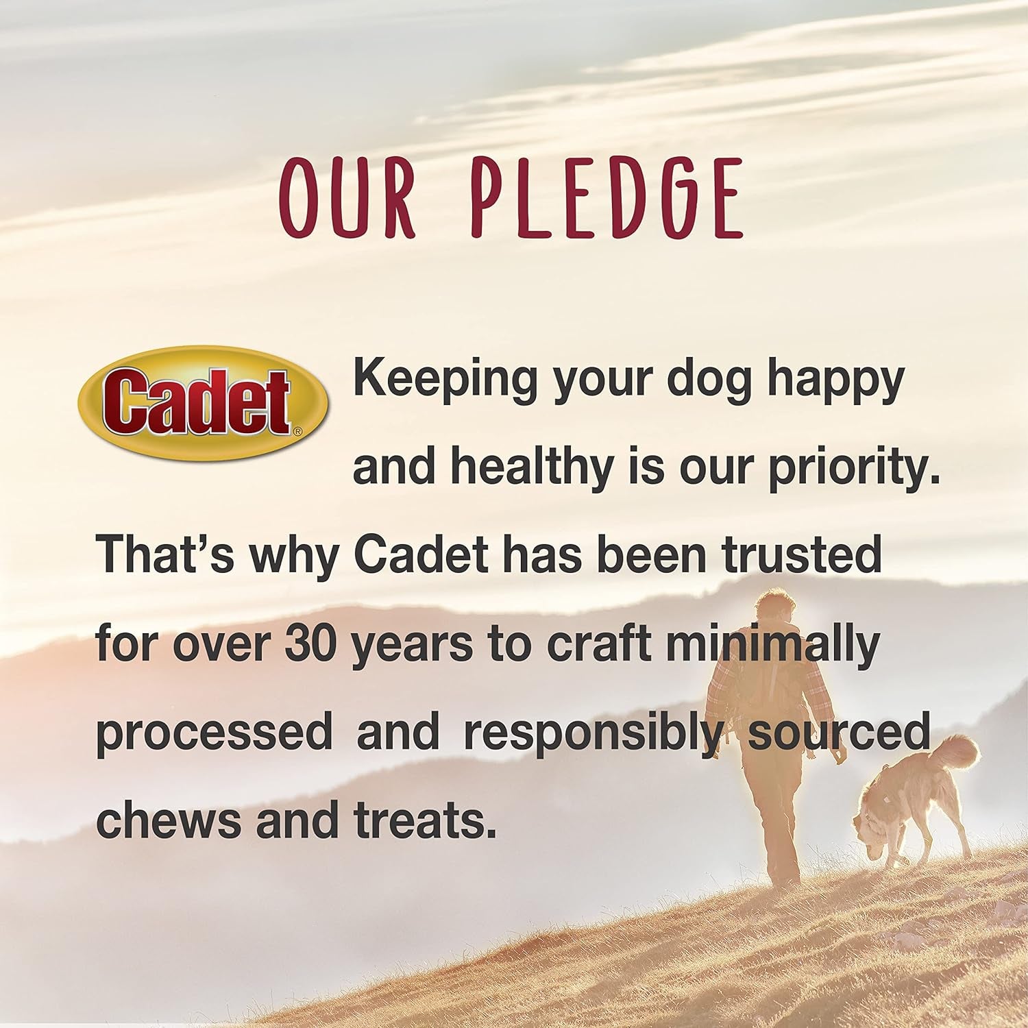 Gourmet Chicken & Apple Dog Treats - Healthy, Natural Training Treats for All Dog Sizes - Inspected and Tested in the USA (28 Oz.)